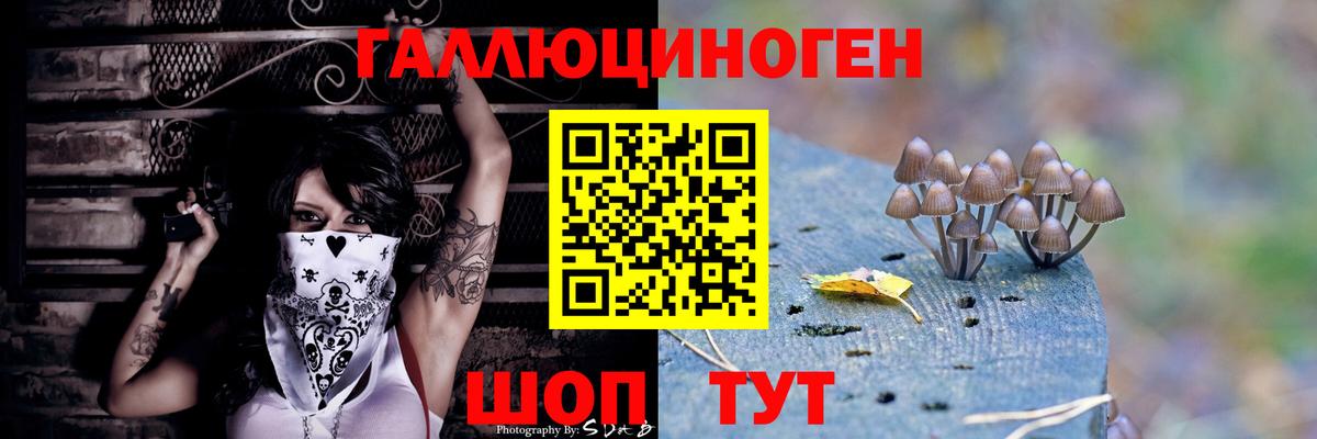 Галлюциногенные грибы Cubensis  где можно купить   Галлюциногенные грибы прущие грибы  Рославль  Вход с VPN 